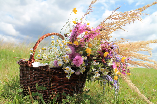 Blumen fr die Liebe